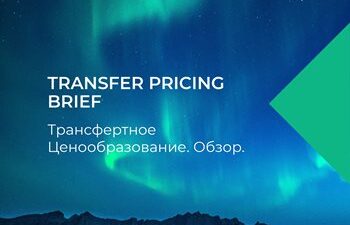 Transfer Pricing Brief