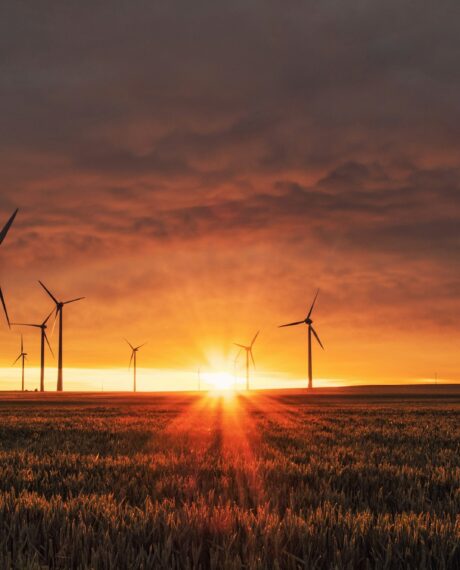 Energy and Renewables