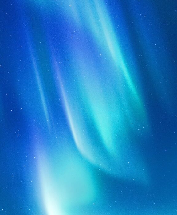 Audit and Advisory Services