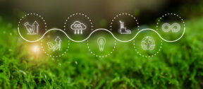 Sustainability reporting