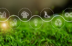 Sustainability reporting
