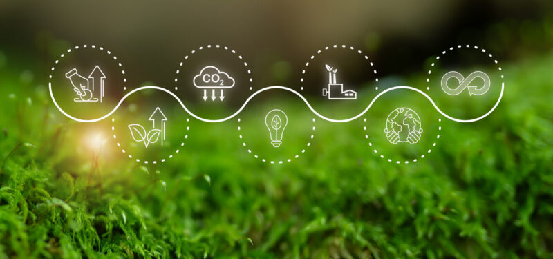 Sustainability reporting